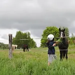 Дом отдыха Zur Alten Faehre *