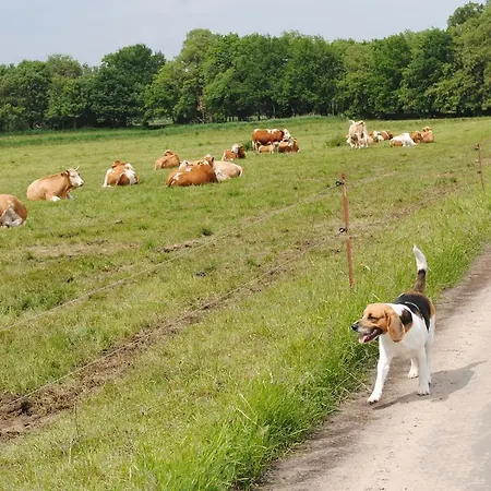 Zur Alten Fahre * فيردر