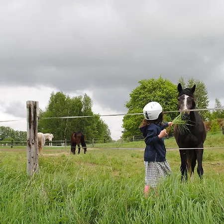 بيت للعطل Zur Alten Fahre *