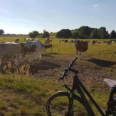 Zur Alten Fahre بيت للعطل