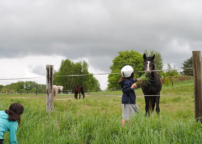 Ferienhaus Zur Alten Faehre *
