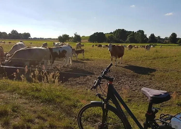 Zur Alten Faehre Hébergement de vacances